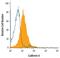 Cadherin 6 antibody, PA5-47373, Invitrogen Antibodies, Flow Cytometry image 