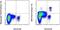 Interferon Regulatory Factor 8 antibody, 46-9852-80, Invitrogen Antibodies, Flow Cytometry image 