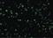 TSC Complex Subunit 1 antibody, LS-B612, Lifespan Biosciences, Immunofluorescence image 