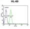 Empty Spiracles Homeobox 2 antibody, abx032553, Abbexa, Flow Cytometry image 