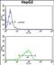 Glycerol-3-Phosphate Dehydrogenase 1 antibody, PA5-72524, Invitrogen Antibodies, Flow Cytometry image 