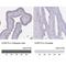 Cilia And Flagella Associated Protein 73 antibody, NBP2-14643, Novus Biologicals, Immunohistochemistry paraffin image 