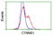 Catenin Beta 1 antibody, LS-C172581, Lifespan Biosciences, Flow Cytometry image 