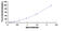 Kinase Insert Domain Receptor antibody, MBS2024046, MyBioSource, Enzyme Linked Immunosorbent Assay image 