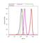 AKT Serine/Threonine Kinase 3 antibody, PA1-41700, Invitrogen Antibodies, Flow Cytometry image 