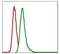 Glucose-6-Phosphate Dehydrogenase antibody, MA5-15918, Invitrogen Antibodies, Flow Cytometry image 