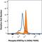 Signal Transducer And Activator Of Transcription 5B antibody, MAB41901, R&D Systems, Flow Cytometry image 