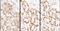 Heparin Binding Growth Factor antibody, NBP1-71926, Novus Biologicals, Immunohistochemistry frozen image 