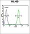 Synaptophysin antibody, orb214639, Biorbyt, Flow Cytometry image 