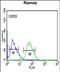 Thymus, Brain And Testes Associated antibody, PA5-72556, Invitrogen Antibodies, Flow Cytometry image 