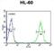 Beta-1,4-Galactosyltransferase 1 antibody, abx034145, Abbexa, Flow Cytometry image 