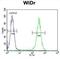 b4Gal-T5 antibody, abx032495, Abbexa, Flow Cytometry image 