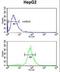 Cadherin-20 antibody, LS-C168608, Lifespan Biosciences, Flow Cytometry image 