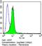 PVR Cell Adhesion Molecule antibody, MA5-13493, Invitrogen Antibodies, Flow Cytometry image 