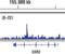Interferon Regulatory Factor 4 antibody, 15106S, Cell Signaling Technology, Chromatin Immunoprecipitation image 