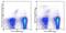 CD11C antibody, 45-0114-80, Invitrogen Antibodies, Flow Cytometry image 