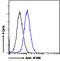 Intraflagellar Transport 88 antibody, LS-C54998, Lifespan Biosciences, Flow Cytometry image 