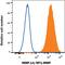 Matrix Metallopeptidase 14 antibody, FAB9181A, R&D Systems, Flow Cytometry image 