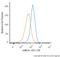 ATP Binding Cassette Subfamily A Member 1 antibody, NB100-2068PE, Novus Biologicals, Flow Cytometry image 