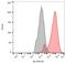 Leucine-rich repeat-containing protein 16C antibody, NBP2-62215, Novus Biologicals, Flow Cytometry image 