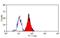 Sialic Acid Binding Ig Like Lectin 5 antibody, MCA5787GA, Bio-Rad (formerly AbD Serotec) , Immunoprecipitation image 