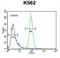 Olfactory Receptor Family 52 Subfamily A Member 1 antibody, abx025773, Abbexa, Flow Cytometry image 