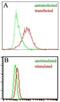 Epstein-Barr Virus Induced 3 antibody, NBP2-03938, Novus Biologicals, Flow Cytometry image 