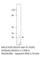 Aquaporin 5 antibody, AQP5-501AP, FabGennix, Western Blot image 