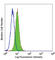 MHC Class I Polypeptide-Related Sequence A antibody, 320902, BioLegend, Flow Cytometry image 