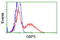 Guanylate-binding protein 5 antibody, TA502241, Origene, Flow Cytometry image 