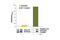 Ribosomal Protein S6 Kinase B1 antibody, 7063S, Cell Signaling Technology, Enzyme Linked Immunosorbent Assay image 