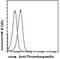 Thrombospondin 1 antibody, NBP2-42522, Novus Biologicals, Flow Cytometry image 