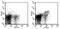 Toll Like Receptor 2 antibody, 12-9021-80, Invitrogen Antibodies, Flow Cytometry image 