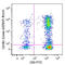 CD13 antibody, 353743, BioLegend, Flow Cytometry image 
