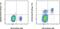 C-X-C Motif Chemokine Receptor 5 antibody, 46-9185-42, Invitrogen Antibodies, Flow Cytometry image 