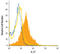 Interleukin 27 antibody, MAB25261, R&D Systems, Flow Cytometry image 