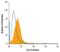 C-C motif chemokine 21 antibody, PA5-47016, Invitrogen Antibodies, Flow Cytometry image 