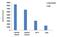 H3 Histone Family Member 3B antibody, MA5-24667, Invitrogen Antibodies, Chromatin Immunoprecipitation image 