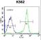 Eukaryotic Translation Initiation Factor 3 Subunit C antibody, LS-C167689, Lifespan Biosciences, Flow Cytometry image 