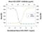 C-X-C Motif Chemokine Ligand 3 antibody, AF5568, R&D Systems, Western Blot image 