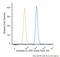 Aldolase, Fructose-Bisphosphate A antibody, NBP2-42620, Novus Biologicals, Flow Cytometry image 