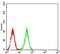 Autophagy Related 2A antibody, NBP2-61689, Novus Biologicals, Immunocytochemistry image 