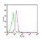 Toll Like Receptor 8 antibody, NBP2-24917, Novus Biologicals, Flow Cytometry image 