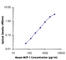 C-C Motif Chemokine Ligand 2 antibody, 505901, BioLegend, Enzyme Linked Immunosorbent Assay image 