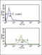 Testosterone 17-beta-dehydrogenase 3 antibody, LS-C165035, Lifespan Biosciences, Flow Cytometry image 