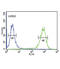 Melanocortin 3 Receptor antibody, abx034077, Abbexa, Flow Cytometry image 