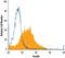 Insulin antibody, IC1417A, R&D Systems, Flow Cytometry image 