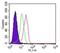 NFKB Inhibitor Alpha antibody, MA5-16152, Invitrogen Antibodies, Flow Cytometry image 