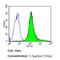 CD44 antibody, GTX15834, GeneTex, Flow Cytometry image 