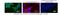 Synuclein Alpha antibody, DDX0910-HRPO-100, Novus Biologicals, Immunofluorescence image 